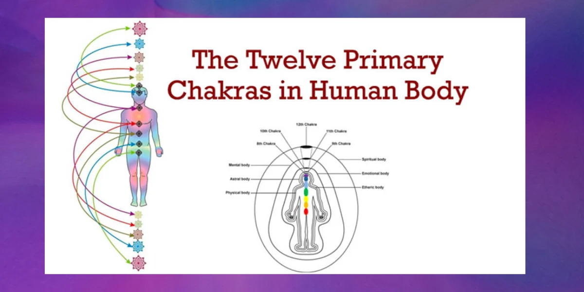 Wealth DNA Code 12 Primary Chakras in Human Body