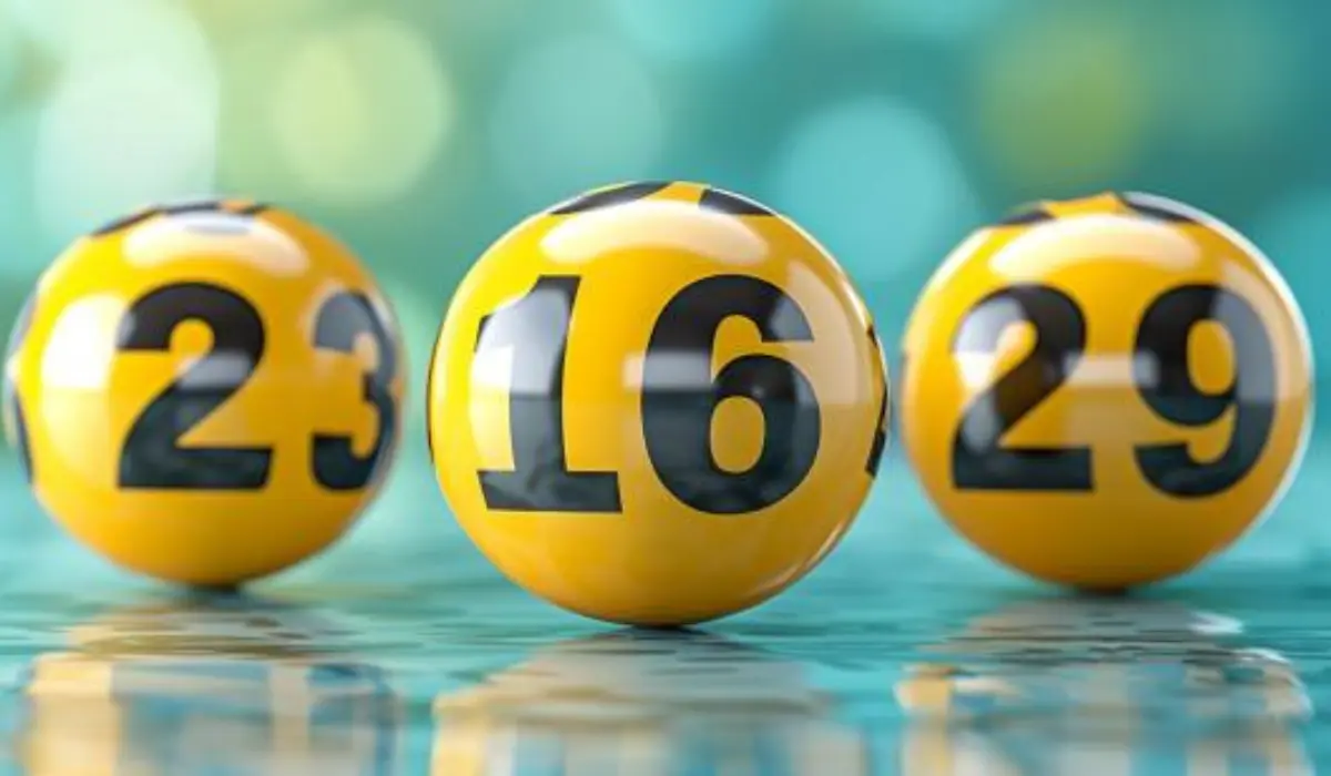 7 Signs That Point To A Winning Lottery Ticket