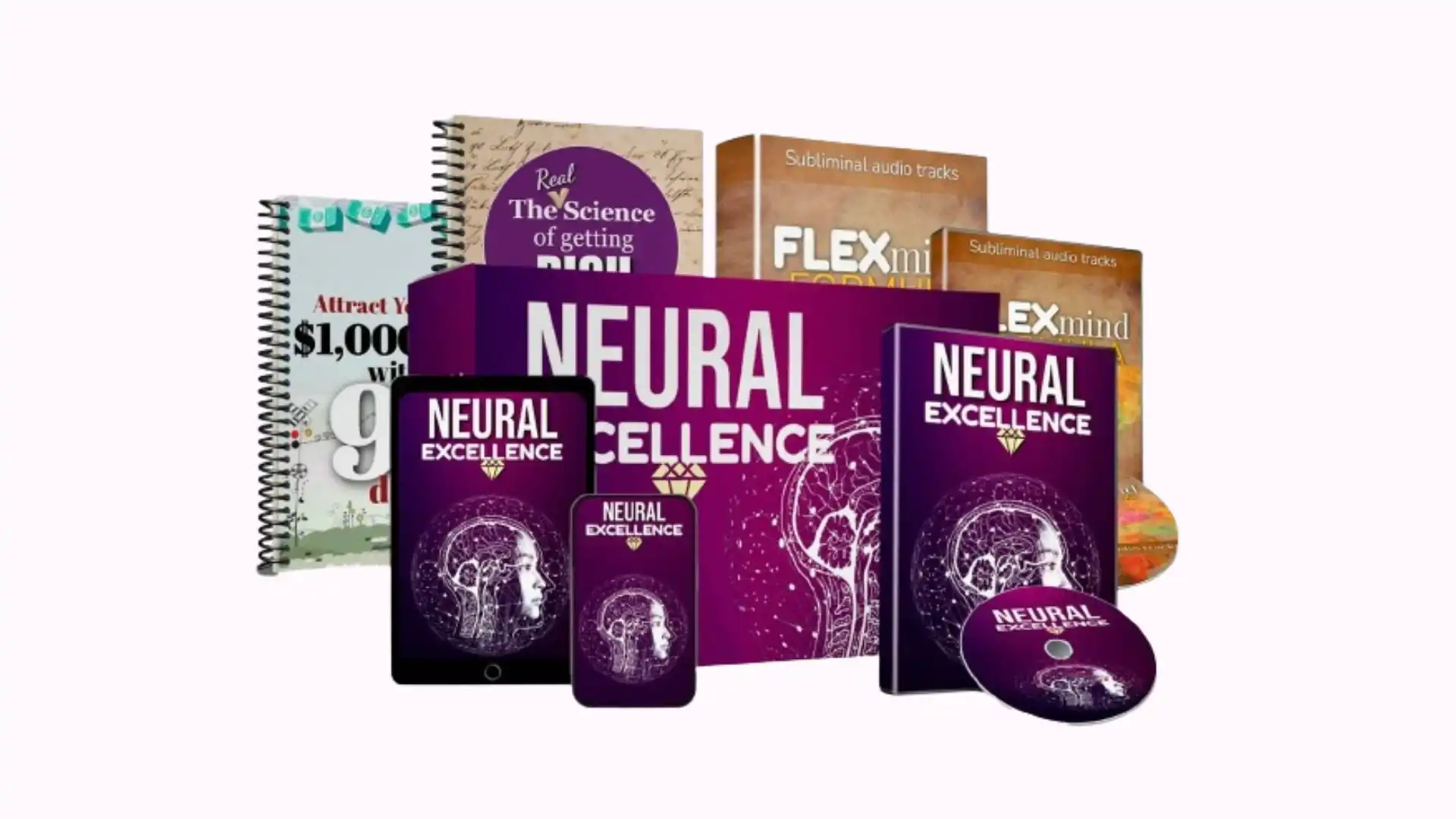 Neural Excellence Review